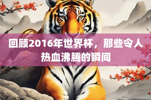 回顾2016年世界杯，那些令人热血沸腾的瞬间