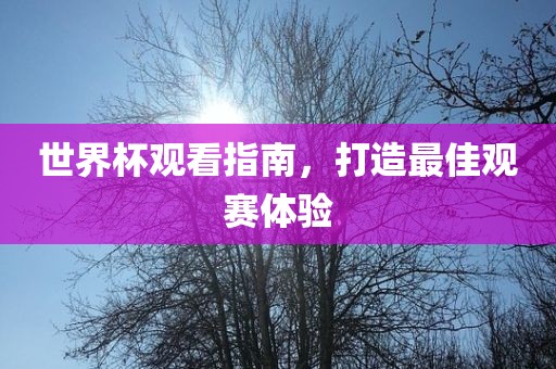 世界杯观看指南，打造最佳观赛体验