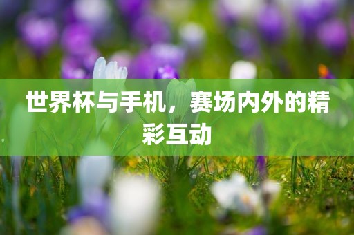 世界杯与手机，赛场内外的精彩互动