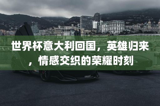 世界杯意大利回国，英雄归来，情感交织的荣耀时刻