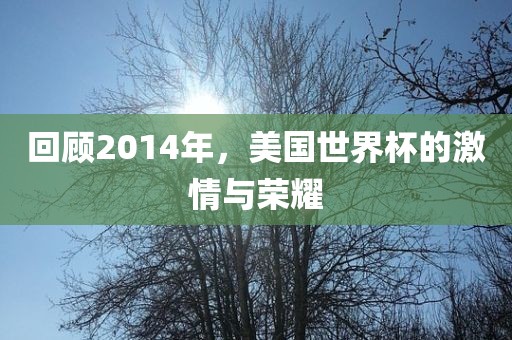 回顾2014年，美国世界杯的激情与荣耀