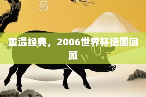 重温经典，2006世界杯德国回顾