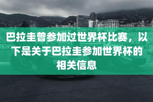 巴拉圭曾参加过世界杯比赛，以下是关于巴拉圭参加世界杯的相关信息