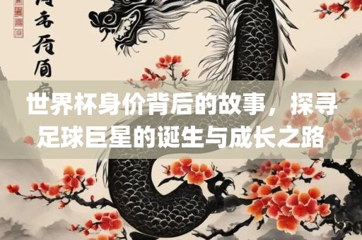 世界杯身价背后的故事，探寻足球巨星的诞生与成长之路