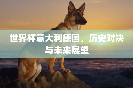 世界杯意大利德国，历史对决与未来展望