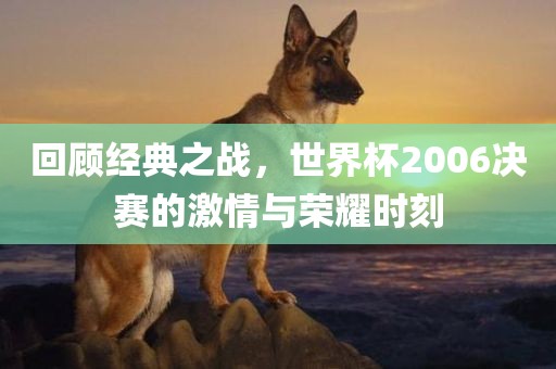 回顾经典之战，世界杯2006决赛的激情与荣耀时刻