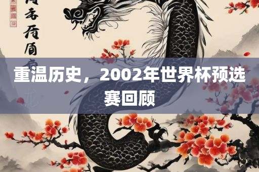 重温历史，2002年世界杯预选赛回顾