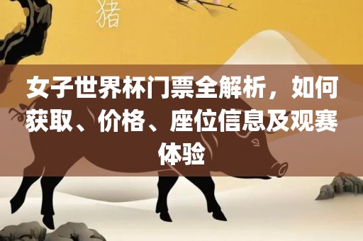 女子世界杯门票全解析，如何获取、价格、座位信息及观赛体验
