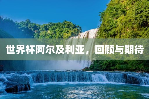 世界杯阿尔及利亚，回顾与期待