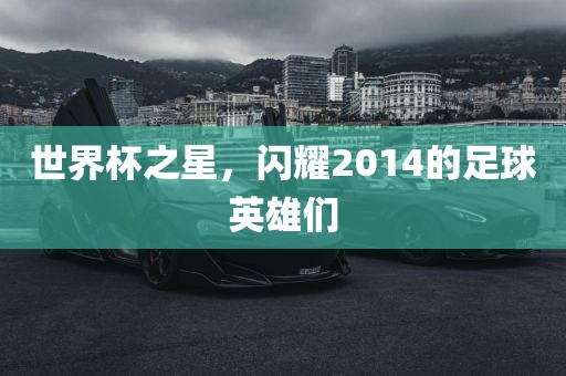 世界杯之星，闪耀2014的足球英雄们
