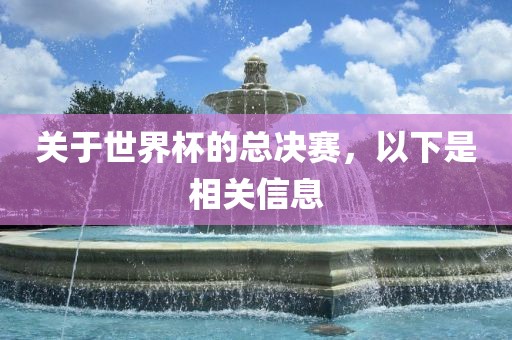 关于世界杯的总决赛，以下是相关信息