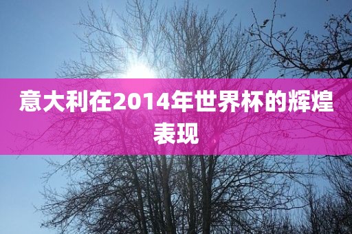 意大利在2014年世界杯的辉煌表现