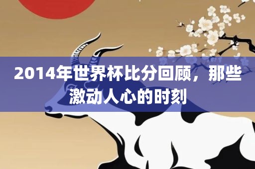 2014年世界杯比分回顾，那些激动人心的时刻