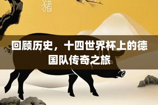 回顾历史，十四世界杯上的德国队传奇之旅