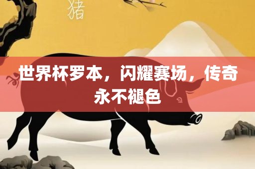 世界杯罗本，闪耀赛场，传奇永不褪色