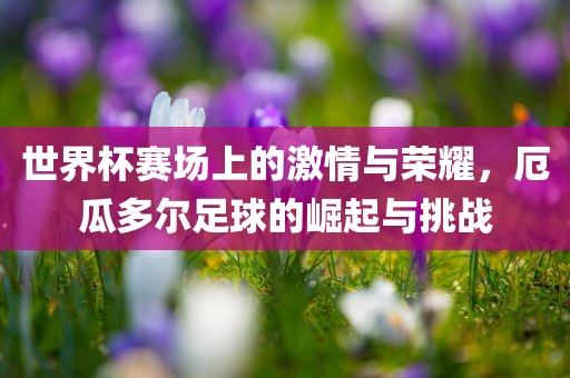 世界杯赛场上的激情与荣耀，厄瓜多尔足球的崛起与挑战