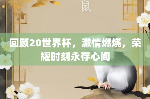 回顾20世界杯，激情燃烧，荣耀时刻永吉安市靖泰电力工程有限公司存心间