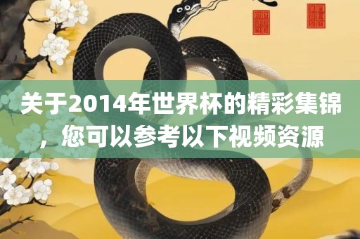 关于2014年世界杯的精彩集锦，您可以参考以下视频资源