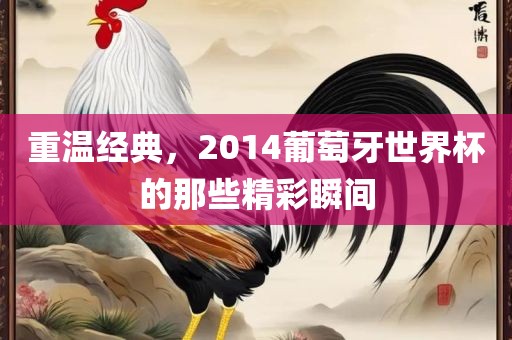 重温经典，2014葡萄牙世界杯的那些精彩瞬间