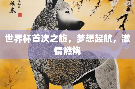 世界杯首次之旅，梦想起航，激情燃烧