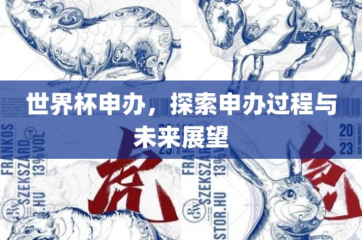 世界杯申办，探索申办过程与未来展望
