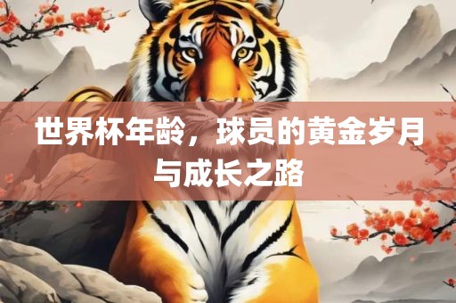世界杯年龄，球员的黄金岁月与成长之路
