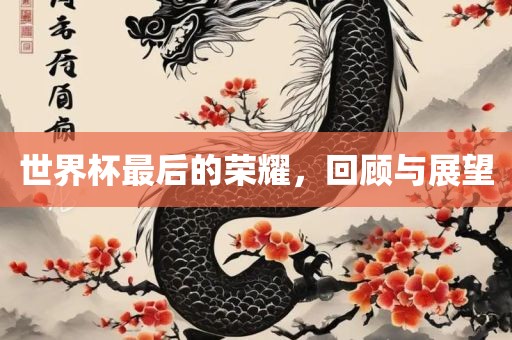 世界杯最后的荣耀，回顾与展望