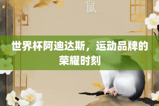 世界杯阿迪达斯，运动品牌的荣耀时刻