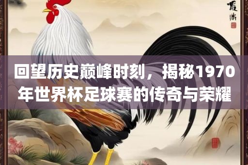 回望历史巅峰时刻，揭秘1970年世界杯足球赛的传奇与荣耀