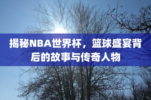 揭秘NBA世界杯，篮球盛宴背后的故事与传奇人物