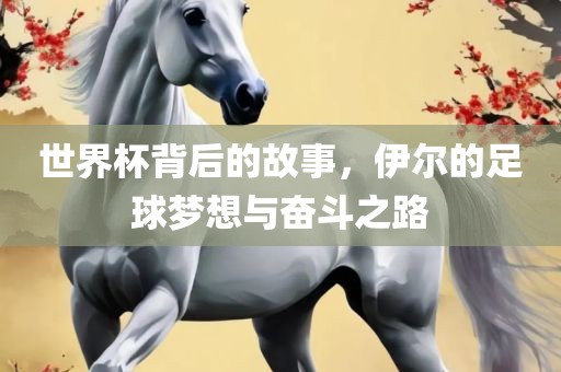 世界杯背后的故事，伊尔的足球梦想与奋斗之路