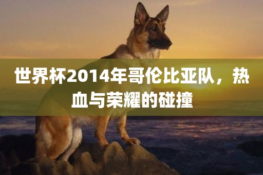 世界杯2014年哥伦比亚队，热血与荣耀的碰撞