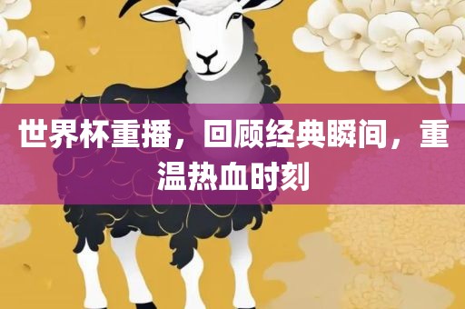 世界杯重播，回顾经典瞬间，重温热血时刻