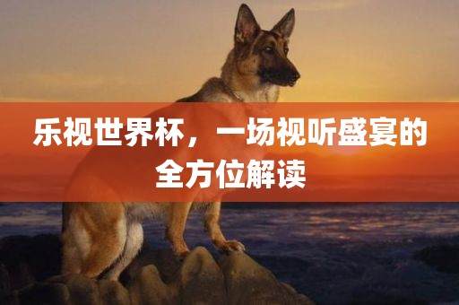 乐视世界杯，一场视听盛宴的全方位解读