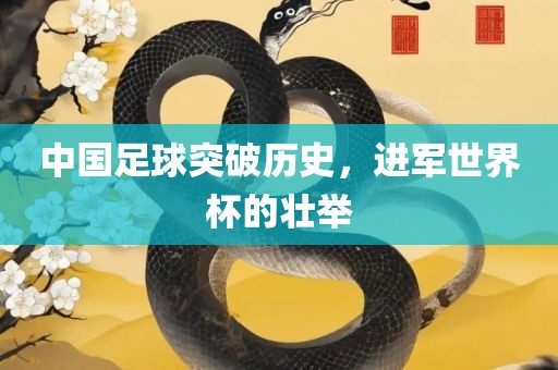 中国足球突破历史，进军世界杯的壮举