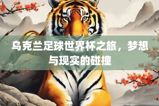 乌克兰足球世界杯之旅，梦想与现实的碰撞