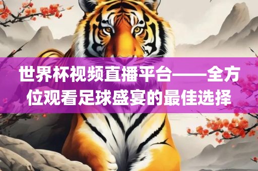 世界杯视频直播平台——全方位观看足球盛宴的最佳选择