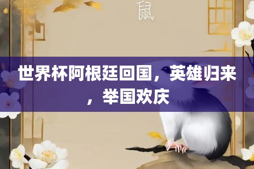 世界杯阿根廷回国，英雄归来，举国欢庆