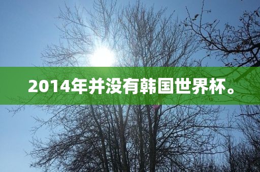 2014年并没有韩国世界杯。