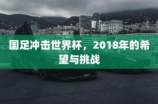 国足冲击世界杯，2018年的希望与挑战