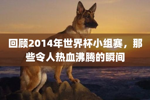 回顾2014年世界杯小组赛，那些令人热血沸腾的瞬间