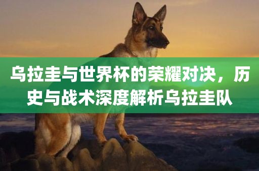乌拉圭与世界杯的荣耀对决，历史与战术深度解析乌拉圭队