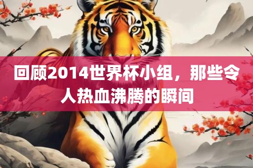 回顾2014世界杯小组，那些令人热血沸腾的瞬间