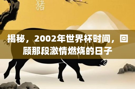 揭秘，2002年世界杯时间，回顾那段激情燃烧的日子