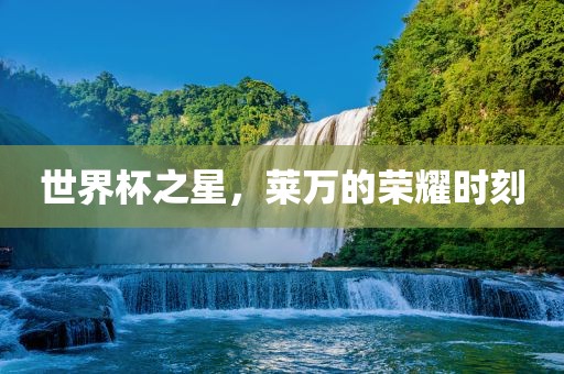 世界杯之星，莱万的荣耀时刻