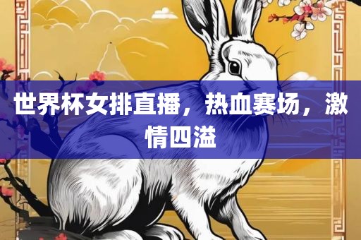 世界杯女排直播，热血赛场，激情四溢