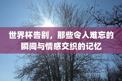 世界杯告别，那些令人难忘的瞬间与情感交织的记忆
