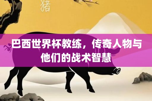 巴西世界杯教练，传奇人物与他们的战术智慧
