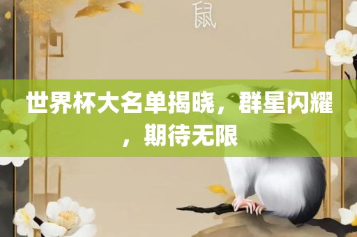 世界杯大名单揭晓，群星闪耀，期待无限吉安市靖泰电力工程有限公司
