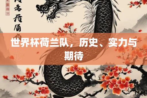世界杯荷兰队，历史、实力与期待